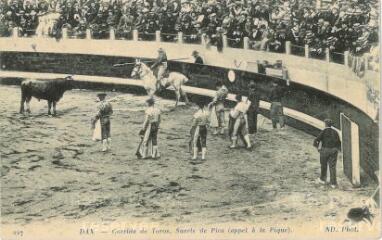 1 vue - Corrida de Toros, suerte de Pica
(ouvre la visionneuse)