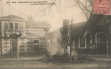 1 vue - Etablissement des Baignots : le petit geyser du parc (ouvre la visionneuse)