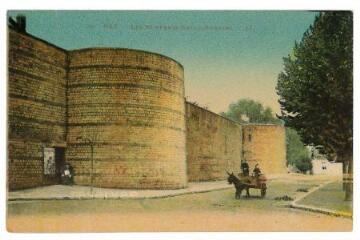 1 vue - Les remparts Gallo-Romains (ouvre la visionneuse)